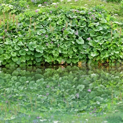 2019-08 Savoie/La Tuile/DSC_1269.JPG